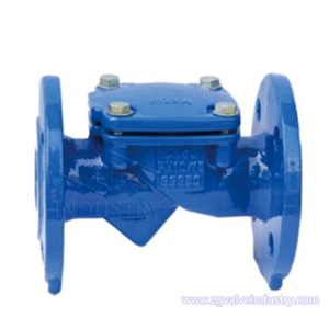 Good Price Premium Quality Cast Iron/Ductile Iron Flange Type Flexible Check Valve