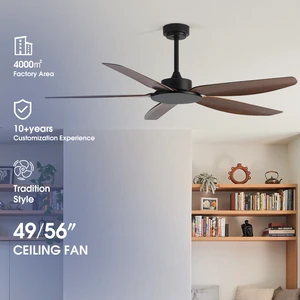 HSG 49 Inch DC Metal Ceiling Fan with Remote Control Energy Conservation 150cm Diameter for Hotel & Household Use