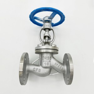 Worm Gear Operated Large Diameter Globe Valve for Power Plant Boiler Feedwater