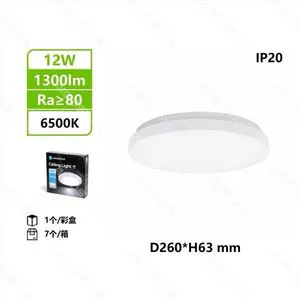 Led Ceiling Light 12W 6500K D260mm IP20 For Indoor Home Use