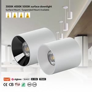 Cob Led Surface Mounted Pendant Downlight Low Profile 12W Dimmable Flush Mount Ceiling Lamp for Australian Downlight