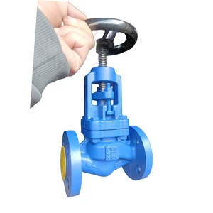 DIN Standard Globe Valve Cast Iron DN50 2 Inch Globe Valve Manufacturer