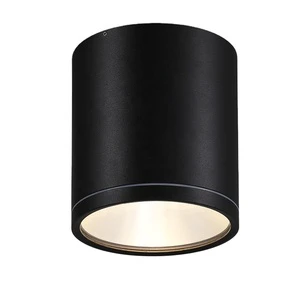 Cob 24W Black Outdoor Ceiling Light Outdoor Garden Waterproof Surface LED Down Light