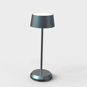 Decorative LED Desk Lamp
