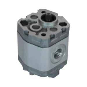 High Quality Hydraulic Gear Pump Pressure 10MPA Gear Oil Pumps Diesel Fuel for Crane Truck Car
