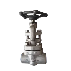 J61F Globe Valve F304, Made of Forged Steel Material, Welded with Sleeve, Threaded Joint NPT of High Quality