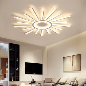 Modern Multi-head Ceiling Light Minimalist Simple Suitable for Room Bedroom Sun Acrylic LED Ceiling Lamp