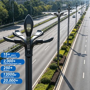 Customized Q235 Steel 8m 10m Modern LED IP65 AC Street Light Integrated Advertising Smart Pole Kyrgyzstan Ethiopia Project