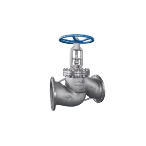 Manual Water Globe Valve High Temperature OEM