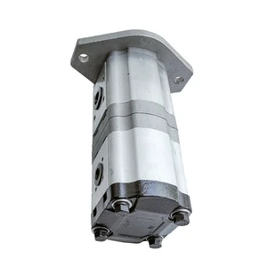 Hydraulic Gear Pump Double Pump for Excavator