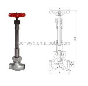 Cryogenic Long Stem Globe Valve