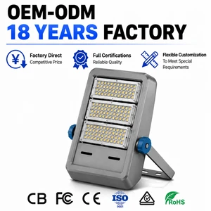LED Tunnel Light IP65 Waterproof High Lumen Anti Glare Road Tunnel Lamp Highway Bridge Outdoor Lighting Aluminum OEM ODM