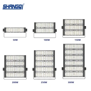 Professional Outdoor Ip65 Stadium Light Railway Station Airport Lighting 50w 100w 150w 200w 250w 300w Led Tunnel Light