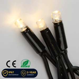 New Arrival IP67 H03RN-F Black Cable Steady On Warm White 2700K Long Life 220V EU Socket Landscaping Exterior LED String Lights
