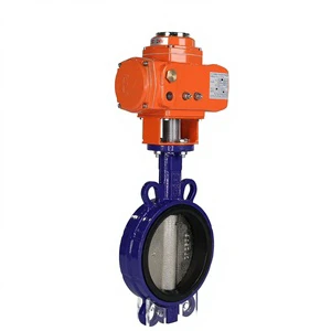 4 Inch Cast Iron Electric Flanged Butterfly Valve DN50-DN200 with EPDM Seal Plate for Water High Temperature Base