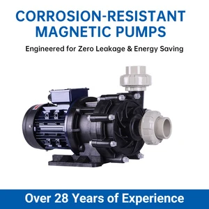Transcend Pvdf Frpp Material Magnetic Pump Strong Corrosive Liquid Acid Chemical Transfer Centrifugal Liquid Magnetic Pump