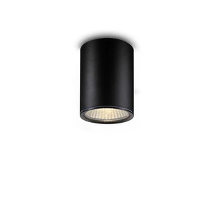 Modern 12W COB Aluminum LED Outdoor Ceiling Light with Black Finish 3000K Color Temperature CRI 90