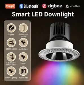 Recessed Downlight 12w for Hotel Commercial SAA CERTIFIED LED Trimless Full Spectrum Color Adjustable Living Room Bedroom
