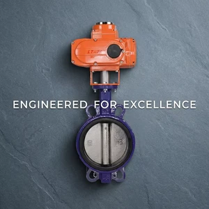 Water Pipeline Special Explosion Proof Electric Drive Long Service Life Cast Iron Clamp Butterfly Valve