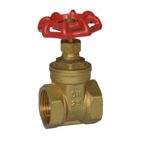 Water Control Valve Durable Iron Valve Brass Gate Valve