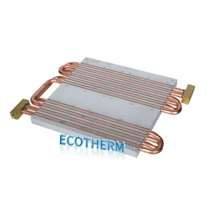 Ecotherm Customized Liquid Cold Plate Water Heat Sink Water Cooling Plate Large Heatsink for Datacenter Inverter