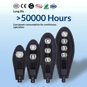Sword Style IP65 AC LED Street Light Aluminum Alloy Single Arm High Pole Lamp 220V High Power Residential Outdoor Lighting