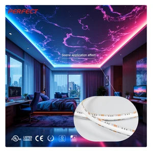 UK Market Hot Selling RGB Color Changing LED Strip - Adjustable Brightness, 320LEDs/M No Light Dot For Home Gaming Room