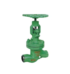 OEM China Factory Custom Water-seled Globe Valves