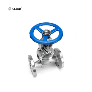 KLION RTS SS304 Stainless Steel Manual Stop Globe Valve DN50 ANSI API OEM Flanged ISO Certified Industrial Water Level Control
