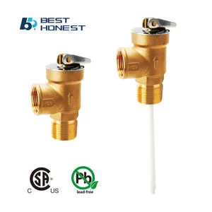 B&H Automatic Temperature Pressure Relief Valve 3/4