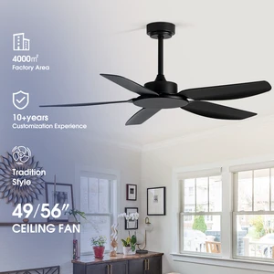 HSG Newest Design 49/58 Inch Model 679 Metal Electric Ceiling Fan with Remote Control DC Motor 150cm Diameter for Household Use