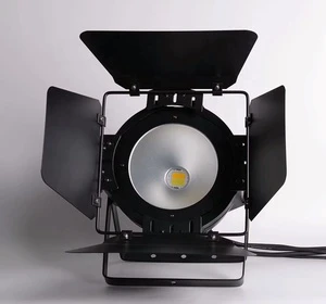 Hotel Wedding Party Indoor 200W COB PAR LED Spotlights Warm White & White Color for Stage Use for Parties & Events