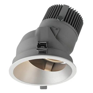 New Design Commercial Smart Down Light 5 Stars Hotels and Houses Cut Out 150mm 30W Adjustable LED Downlight