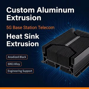 OEM Anodized Black 6063 Aluminum Extruded 5G Base Station Telecom Equipment Heat Sink Extrusion