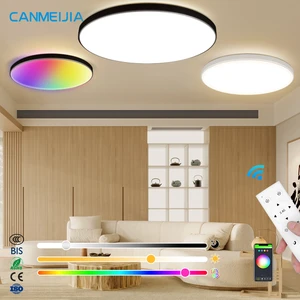 For Home Bedroom Round Light Fixture LED Ceiling Light, Ceiling Led Light, Smart Ceiling Light/LED Ceiling Lamps/Ceiling Lights