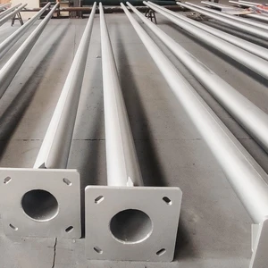 Customized Height Galvanized Steel Light Pole Energy Saving Pillar Lighting Pole