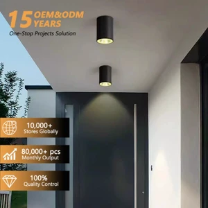 Indoor Outdoor Balcony Ceiling Spotlight 35W 30W 25W 20W 15W 12W 10W 7W IP65 Waterproof Surface Downlight