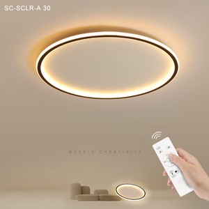 IMVSINCERE Modern Ultra-Thin LED Ceiling Light Large Surface Mounted Steel Base for Bedroom and Living Room