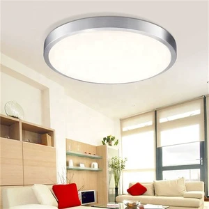 Professional Manufacturer Roof Bedroom Luxury Light Led Ceiling Lamp