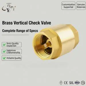 Forged Brass Vertical Spring Check Valve PN16 Female Thread Corrosion Resistant Water Valve