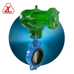 Stainless Steel Butterfly Valve with Pneumatic Actuator or Manual Option for Water Flange End Connection Normal Temperature