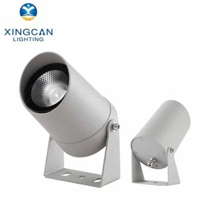 RGB RGBW DMX512 3000K 4000K 5000K Customized Outdoor Park Courtyard Bridge Waterproof 10W 20W 30W COB Led IP65 Projector Light