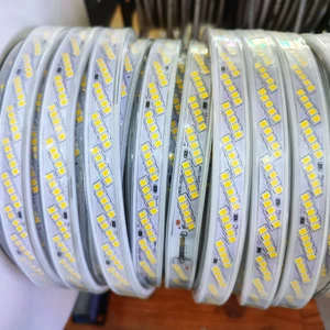 AC230V LED 2835 Bevel Five-row Linear Light Strip Soft Flexible Lamp Waterproof 320D Engineering Tunnel lighting Super Bright