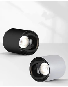 IP65 Waterproof Surface Mount Downlight 10W Outdoor LED Ceiling Lamp