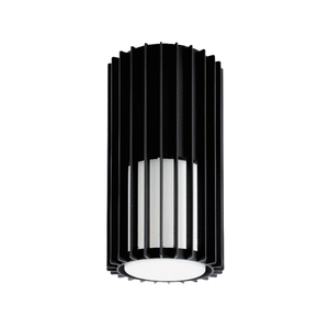 OTWM20001 Outdoor IP65 LED Ceiling Lamp Hot Selling Cylinder Surface Mounted Light for Courtyard Corridor Other Outdoor Spaces