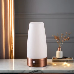 Modern Mini Wireless LED Sensor Lamp Small Battery-powered Motion Night Light for Bedroom Living Room