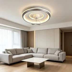 Modern Minimalist Bedroom Living Room Home Office Ceiling Fan Lamp Shaking Head Remote Control Stepless Dimming Acrylic 3-Color