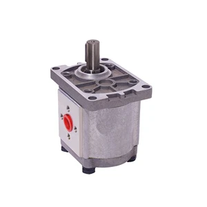 Hydraulic Gear Pump 10 cm Displacement 300 Bar Pressure 2 HP 1 Year Warranty