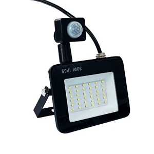 Floodlight with Sensor 30W 220-240V 90%real Power Power Factor0.9 Outdoor Fixtures IP44 Waterproof Factory Direct Sale