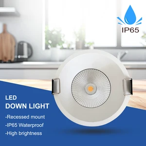 RONSE Indoor Ceiling Recessed Embedded Housing Fixed Lighting IP65 Modern LED COB Downlight 20W 4 Inch